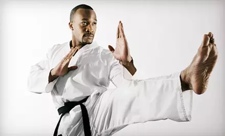 10 or 20 Brazilian Jiu Jitsu Classes at Relson Gracie Jiu-Jitsu Academy (Up to 84% Off) - Primary Image