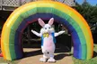 Cottontail Express: Ticket for 1, 2 or 4 People for (Valid for March 29 - 30 and Apr 6, 12, 13, 17, 18 & 19 - Second Medium