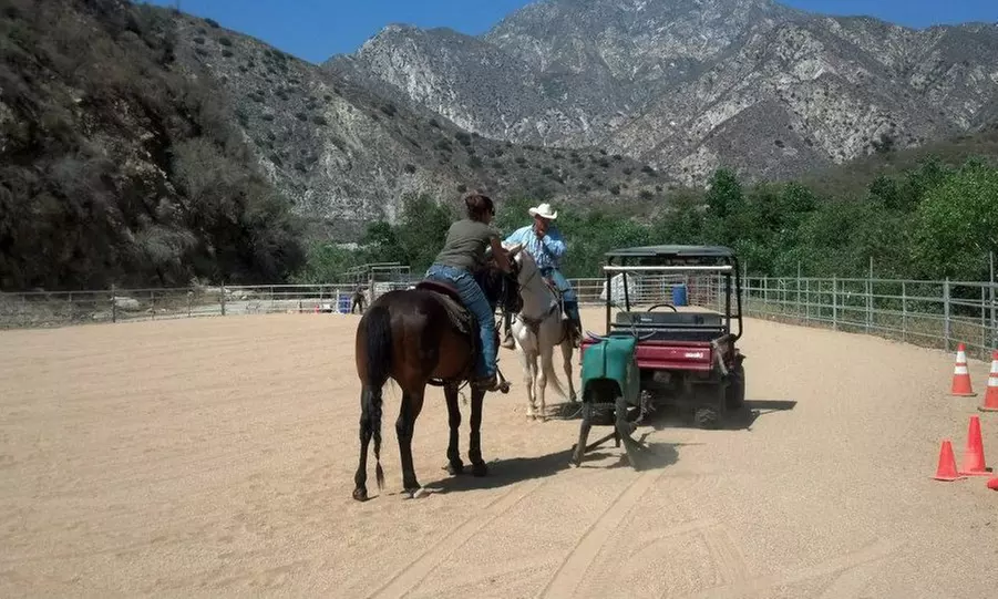 Two Horseback-Riding Lessons at Diamond O Performance Horses (65% Off) - Primary Image