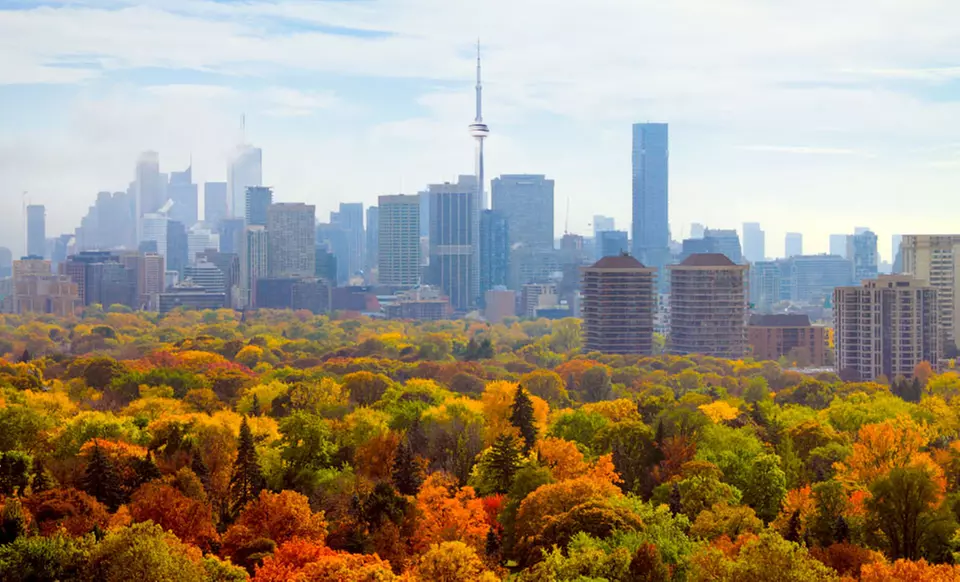 1-Night Stay with Hotel Credit and Parking at Toronto Don Valley Hotel & Suites in Ontario - Primary Image