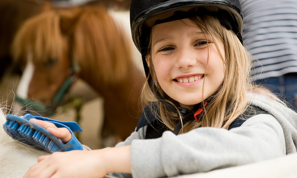 Balade en poney dès 11,90e