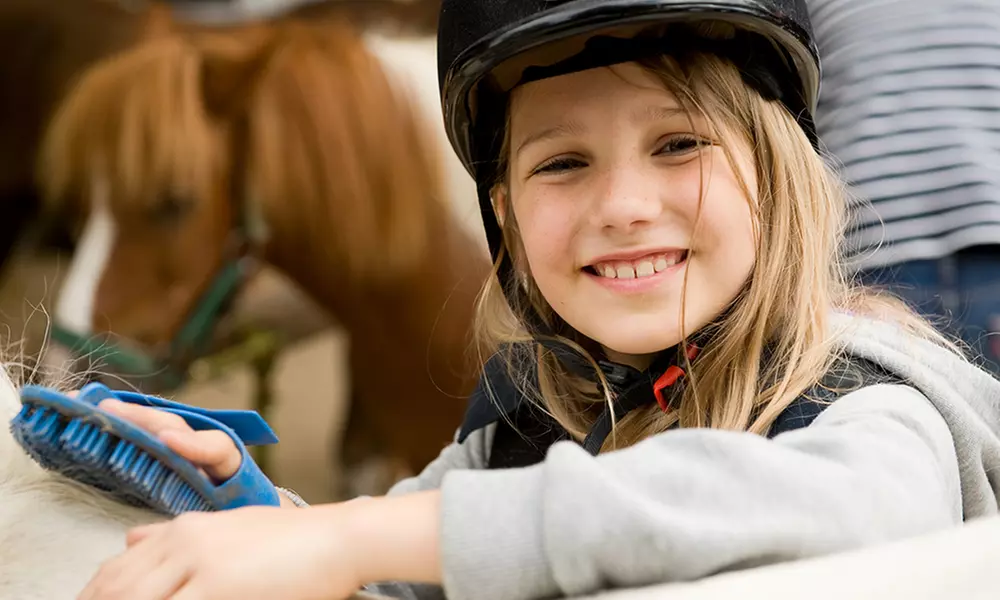 Balade en poney dès 11,90e