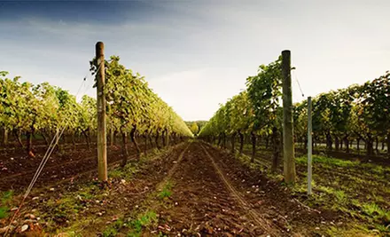Wine Passport and Self-Guided Tour of Seven Wineries for One or Two from Langley Wine Tours (Up to 51% Off) - Primary Image
