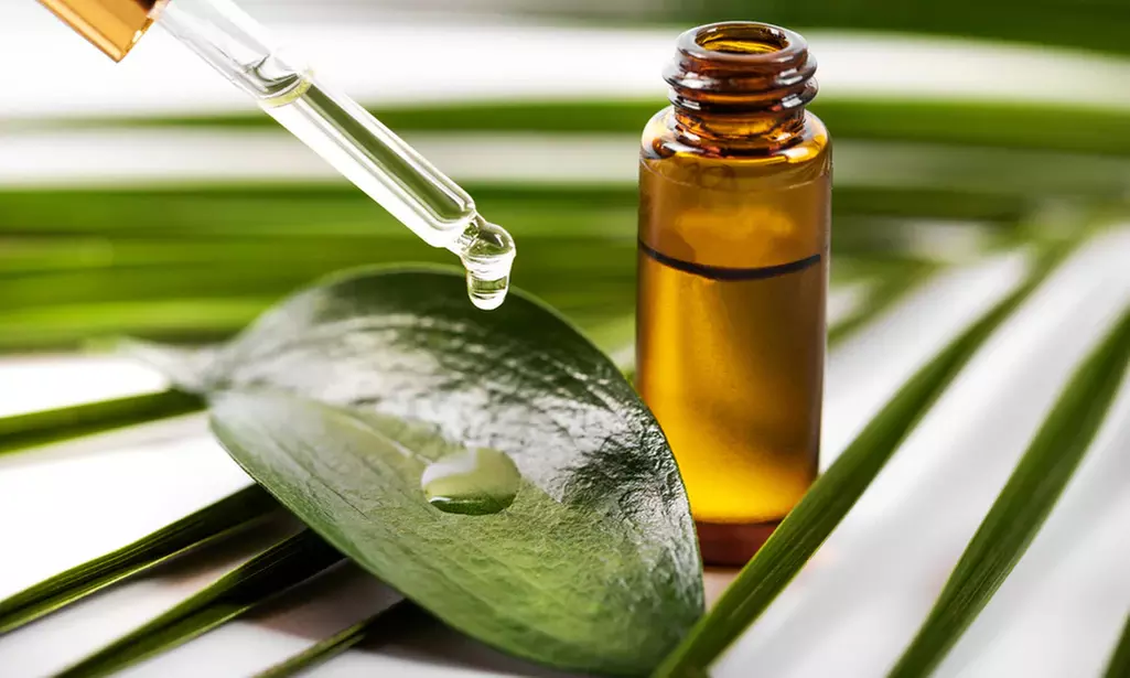 Learn Training for Holistic Medicines or Essential Oils at Khan Education - Up to 52% Off - Primary Image