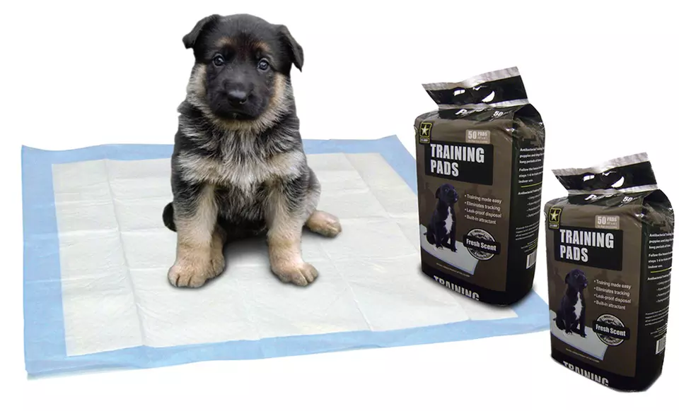 US Army Puppy-Pad 50-Pack  - Primary Image