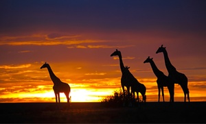 Kenya Safari with Airfare