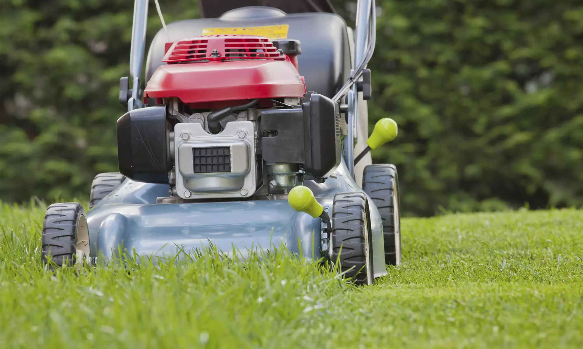Landscaping Maintenance and Pet Waste Removal from Landco Landscaping (Up to 55% Off). Two Options Available.  - Primary Image