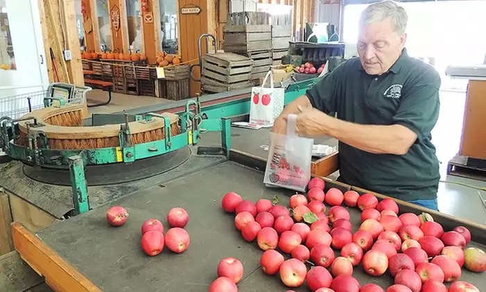 One Dozen Donuts with a Gallon of Cider, or Two Bottles of Apple Honey Wine at Obstbaum Orchards (Up to 50% Off) - Primary Image