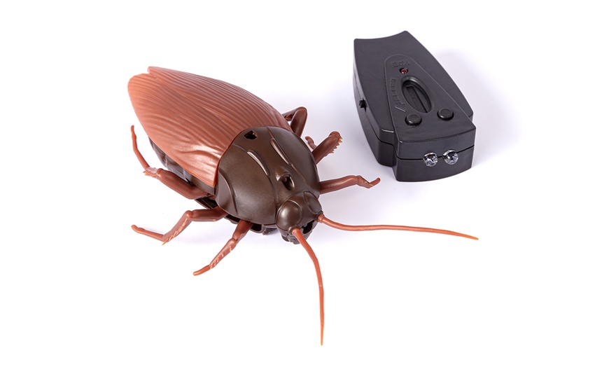 Image 3: RMS Remote Control Cockroach