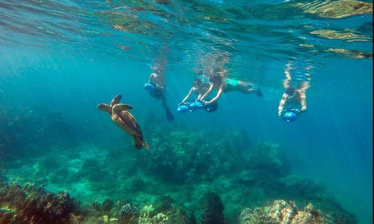 Discover Lahaina Turtle Town with Sea Scooters and Photos