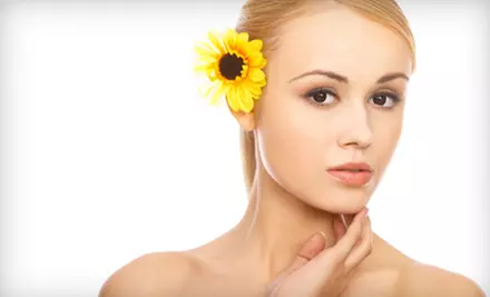 Spa Package, or One or Three European or American Facials at Blink! Salon and Spa (Up to 60% Off) - Primary Image