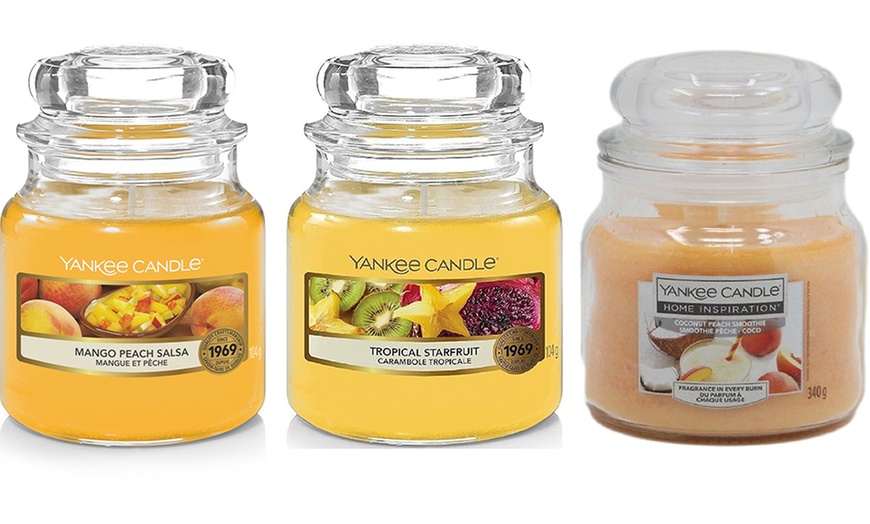 Image 5: Pack of Three Yankee Candle 104g Classic Small Jars