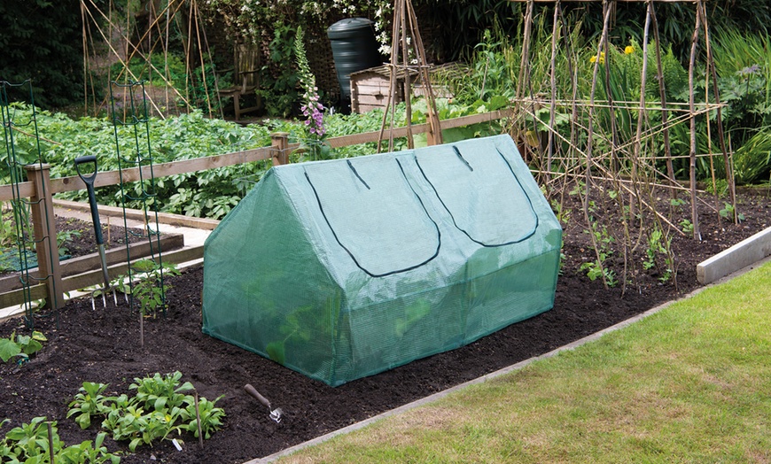 Image 3: Garden Cloche