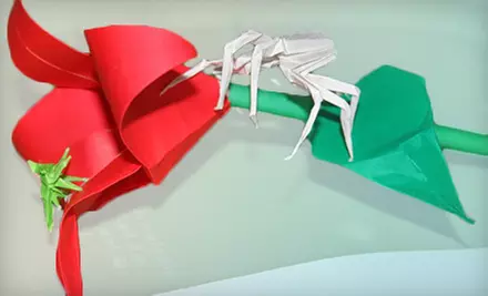 Origami Class for One or Two at Sherwin's Gallery (Up to 51% Off) - Primary Image