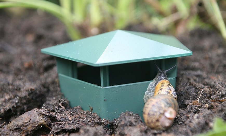 Image 5: One-, Four-, or Eight-Pack of Easy-to-Use Snail Traps