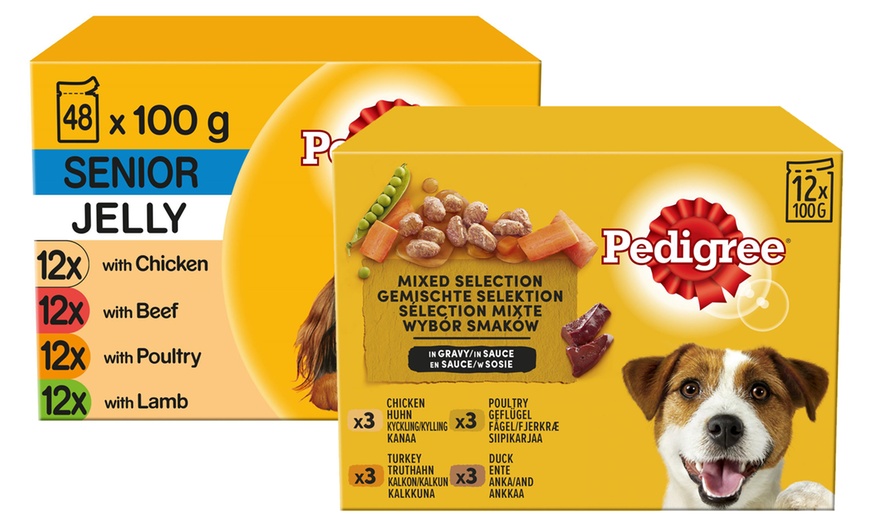 Image 1: Food pouches adult or senior dog, Pedigree