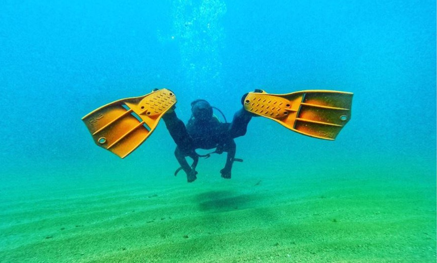 Image 8: Bautizo de buceo para 1 a 4 personas con fotos en Underwater Barcelona