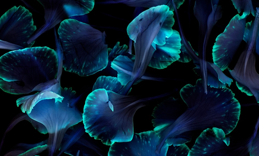 Image 5: iPhotography Course