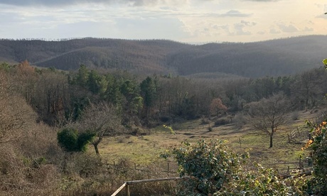 5 notti in casale di campagna fino ad 8 persone da Casale Il Palombaro (sconto 40%)