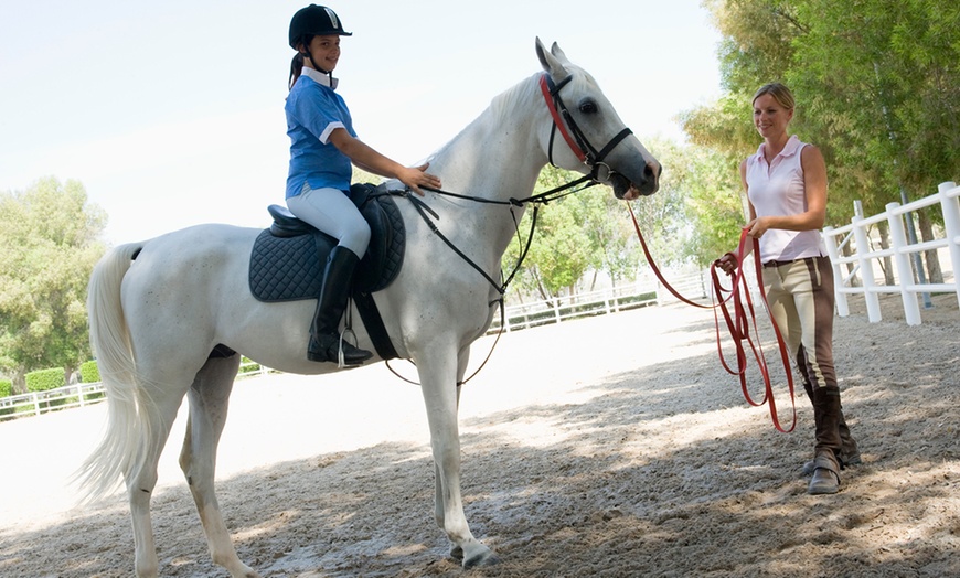 Image 1: Horse Riding Lesson