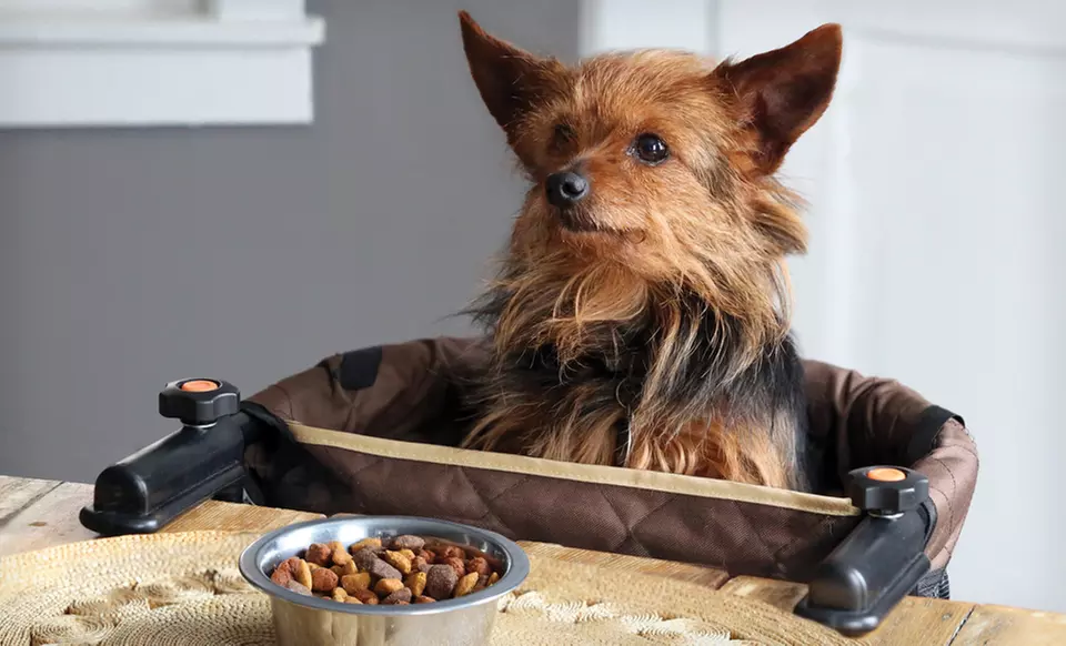 $19.99 for a Clip-On Pet Seat ($50.02 List Price). Free Shipping and Returns. - Primary Image