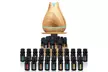 Diffuser with Rotating Display Stand and 20 Essential Oils - Second Medium