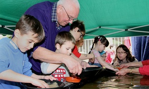 Activities at Fossils Galore