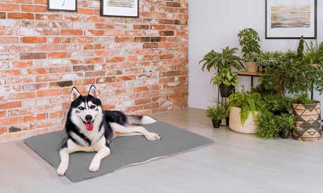 Tappetino per animali domestici impermeabile e antiscivolo