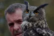 Experience the magic of owls up close with a two-hour session for one at Hawksflight Falconry (Up to77% Off) - Image 4