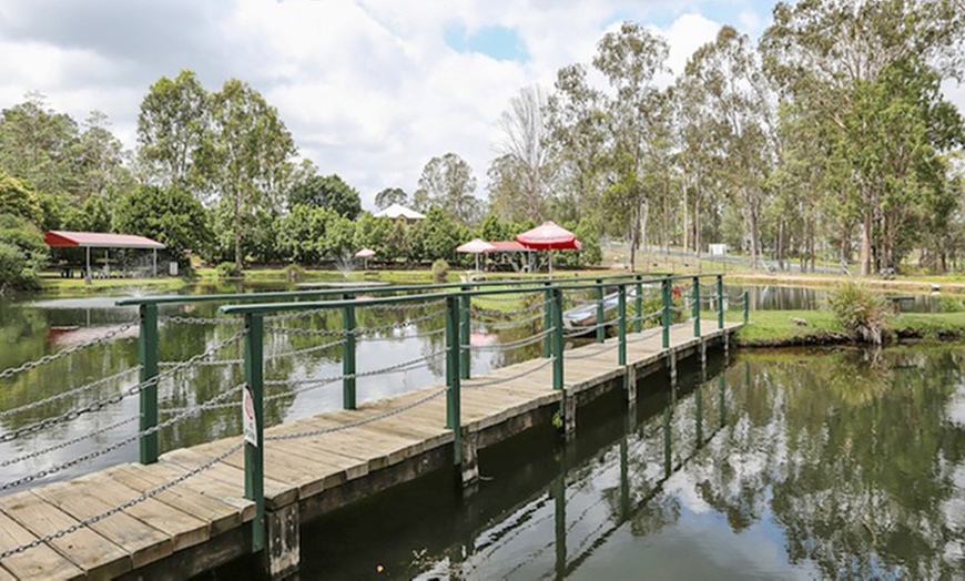 Image 9: Thrilling 4WD buggy tours and engaging animal encounters await
