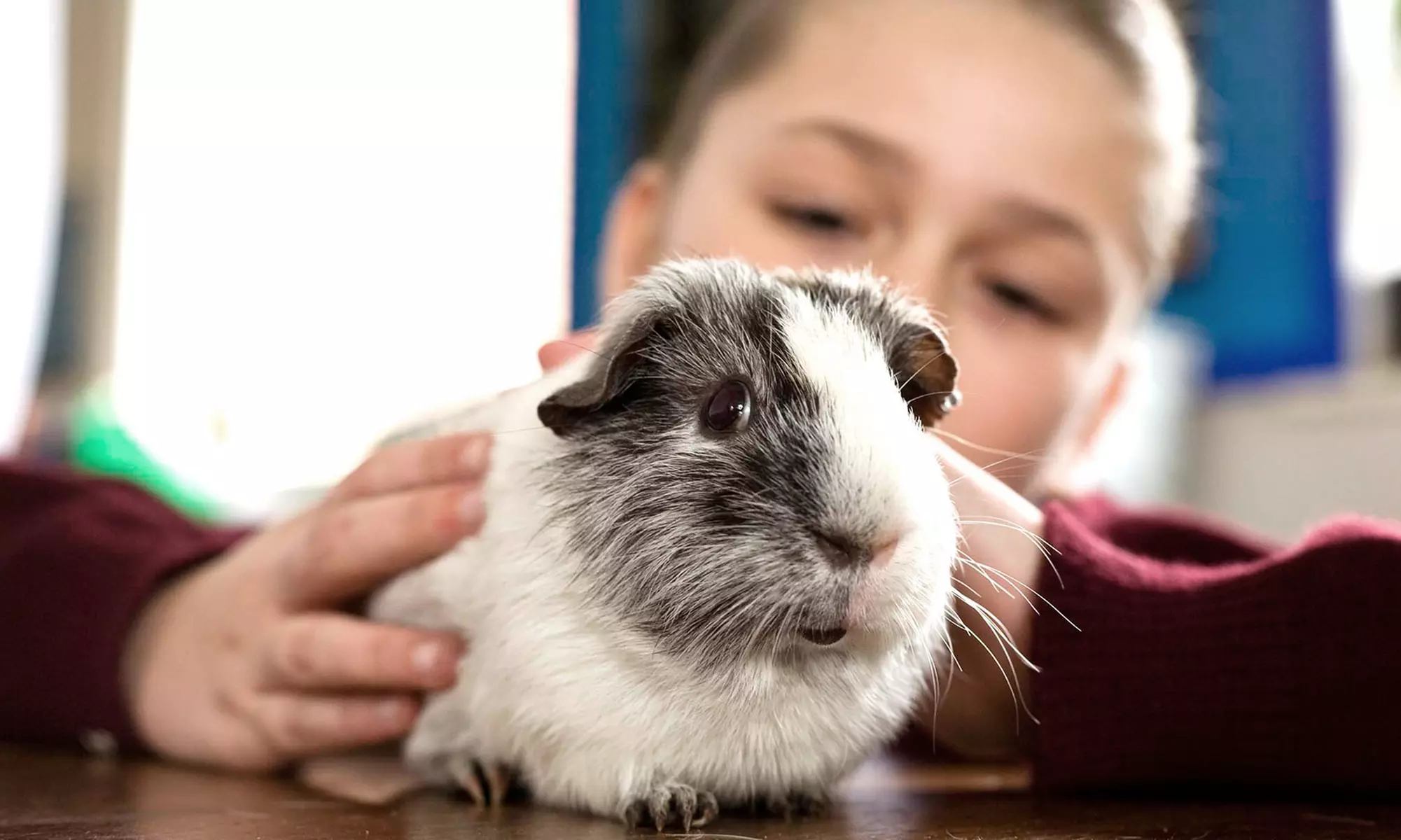 Eight-Week Kids' Animal  Classes at Pawsitively Pets For Kids (50% Off). Two Options Available.  - Primary Image