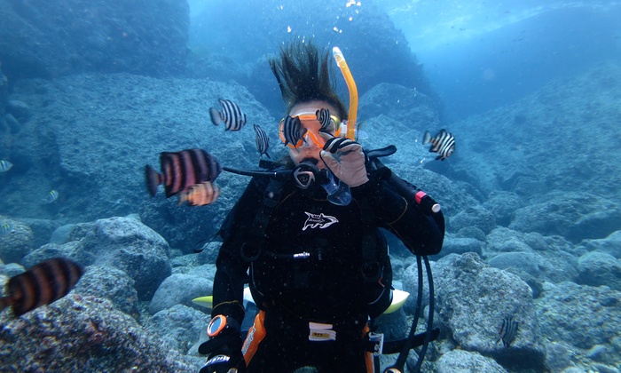 NAUIスクーバーダイバーコース4日間