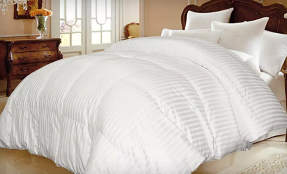 European White Goose-Down Comforter in Twin, Full/Queen, or King (Up to 68% Off). Free Shipping and Free Returns. - Primary Image