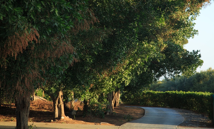 Image 7: 18-Hole Round of Golf with Cart