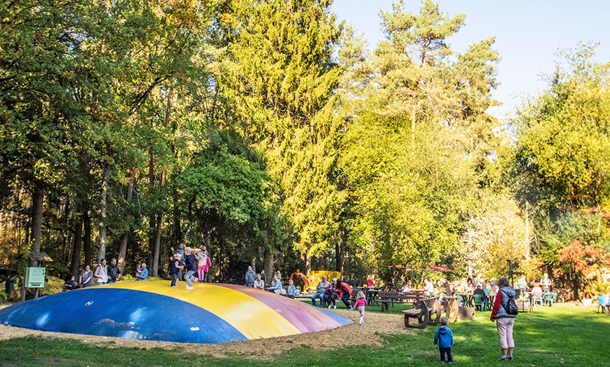 Image 6: Tagesticket Wildpark Müden