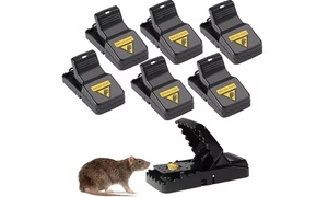 Six-Piece Set of Mouse Traps