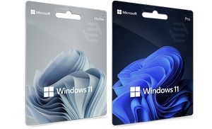 Microsoft Windows 11 Home or Professional