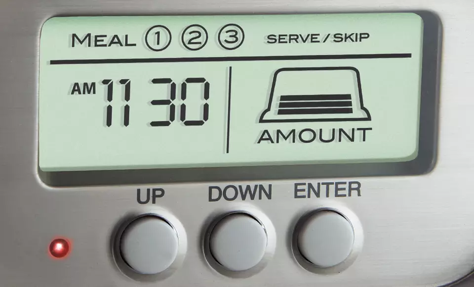 Animal Planet Pet Feeder - Second Medium