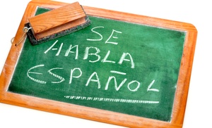 Spanish-Language Course