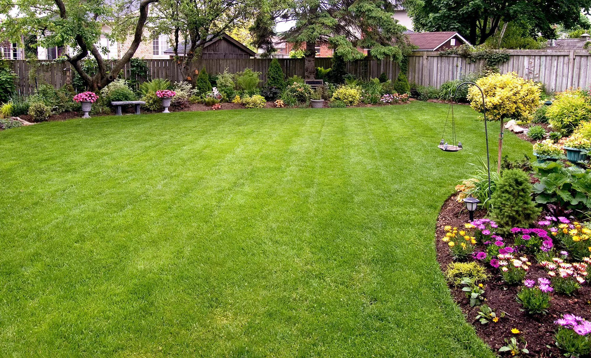 $50 for $100 Worth of Landscaping — NK Landscaping - Primary Image