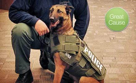 $10 Donation to Help Provide Protective Vests for Dogs - Primary Image
