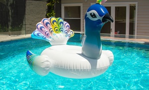 Giant Inflatable Float