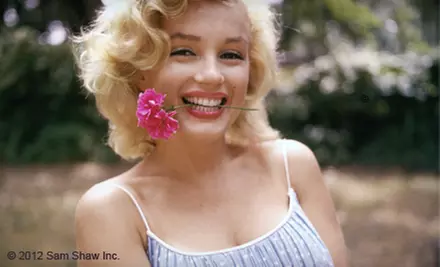 Two or Three Groupons, Each Good for $8 Worth of Café Food and Drinks at Marilyn Monroe Cafe (Half Off) - Primary Image