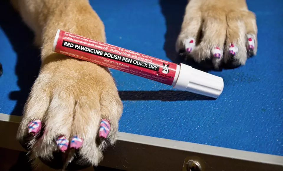 Warren London Pawdicure Pet Nail-Polish Pens (Up to 53% Off). Four Options Available. Free Returns. - Primary Image