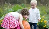 C$39 for 30-Minute Pumpkin-Patch Session for Up to Five from Sarah Jamal Photography (C$150 Value)