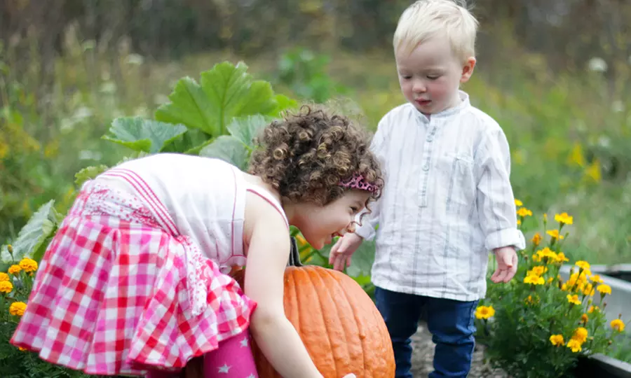 C$39 for 30-Minute Pumpkin-Patch Session for Up to Five from Sarah Jamal Photography (C$150 Value) - Primary Image