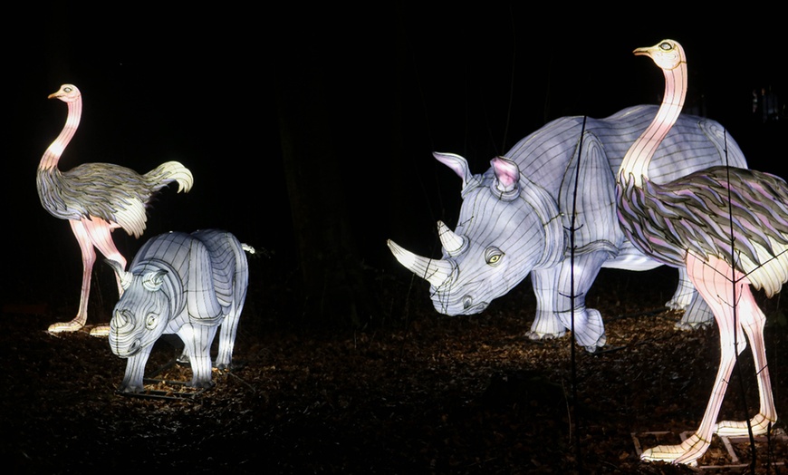 Image 2: Eintritt „Leuchtendes Winterland“ für den Zoo Osnabrück für 2 Personen