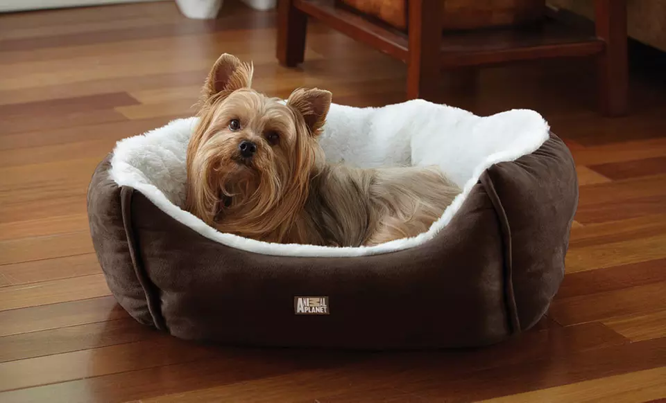 $18 for an Animal Planet Ultra Suede Pet Bed ($39.99 List Price). Three Colors Available. Free Shipping and Returns. - Second Medium