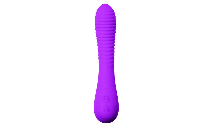 Image 2: Pasante Vibrators 