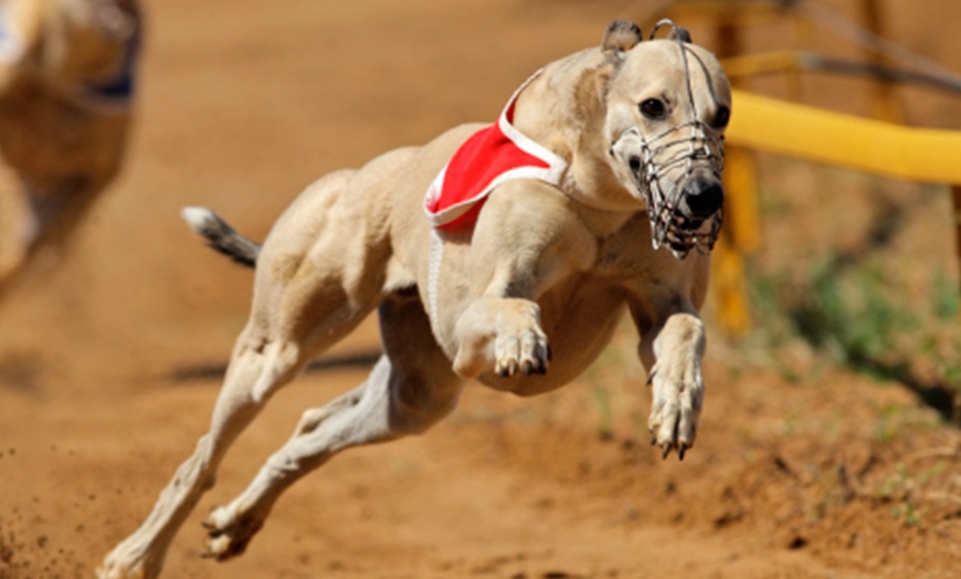 Image 1: Doncaster Greyhound Stadium